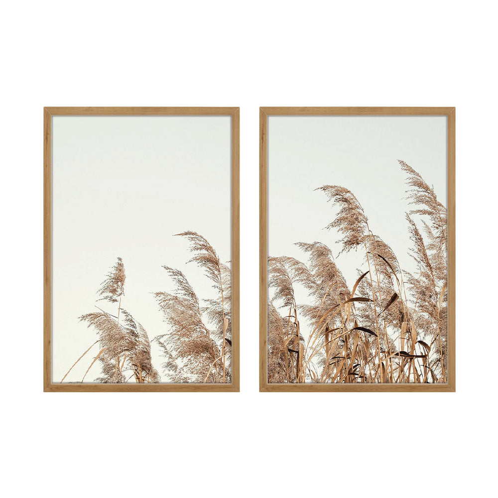 Composição de quadros Painço