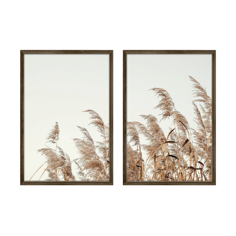 Composição de quadros Painço