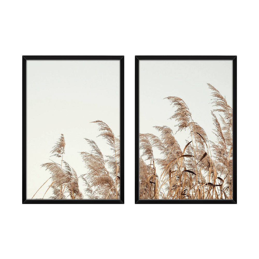 Composição de quadros Painço