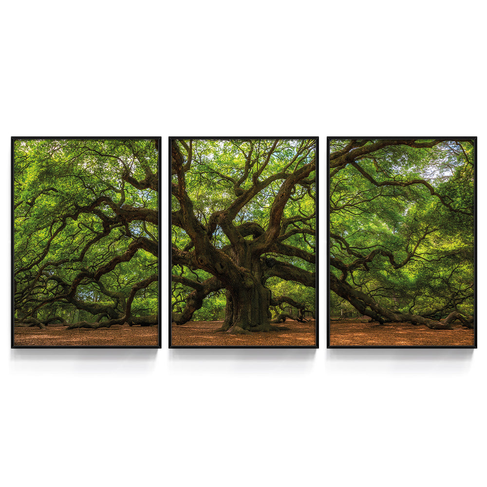 Composição de Quadros Árvore Da Vida Verde - 60OFF