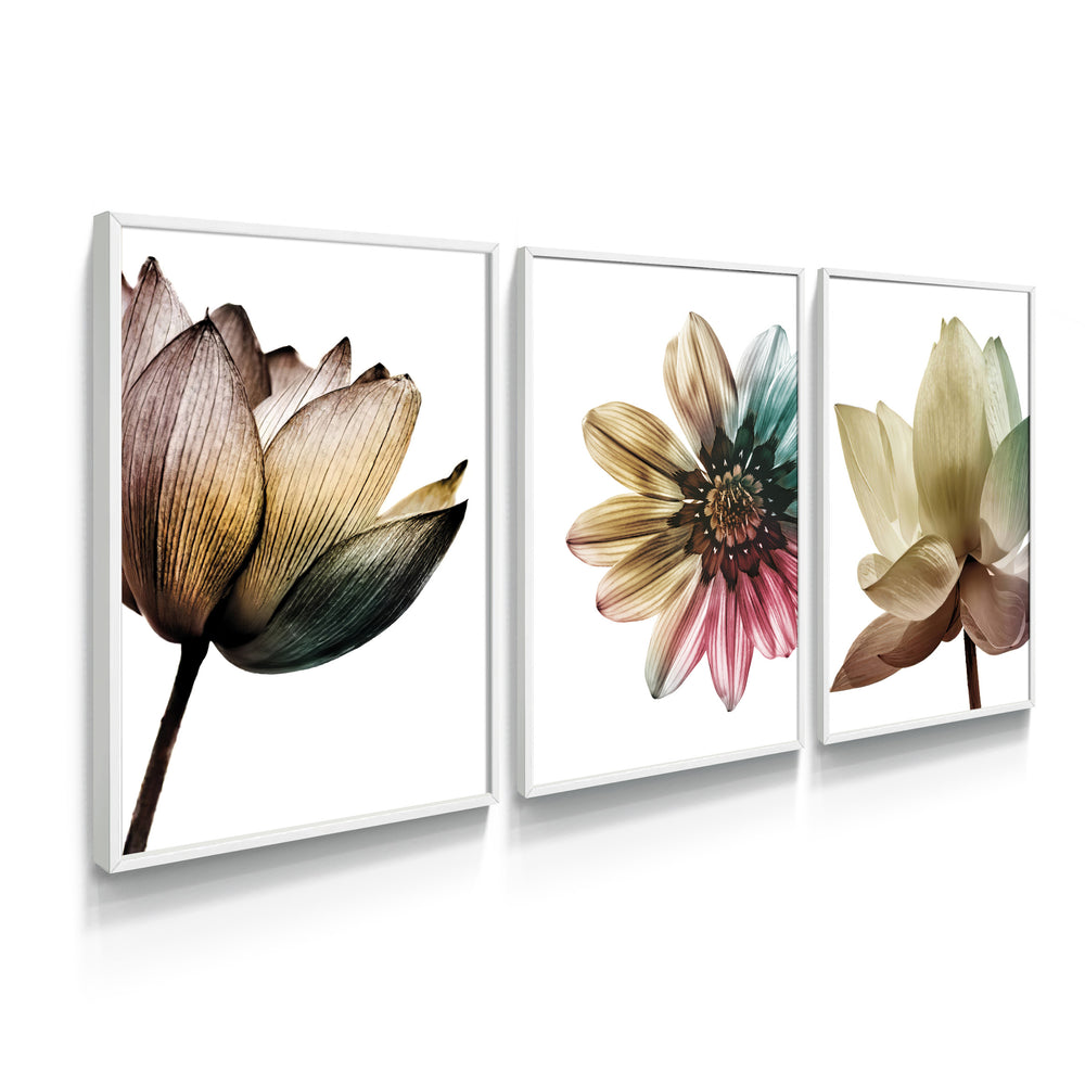 Composição de quadros Trio Flores Color - 60OFF