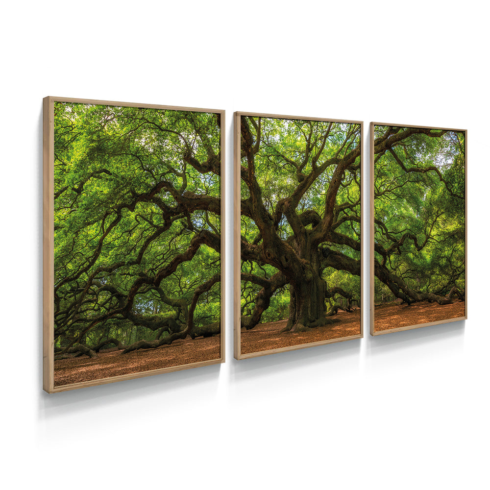 Composição de Quadros Árvore Da Vida Verde - 60OFF