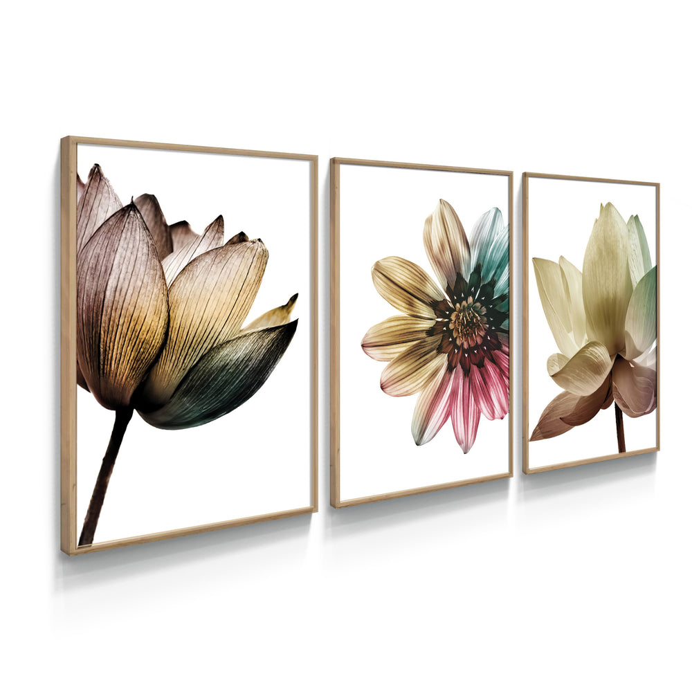 Composição de quadros Trio Flores Color - 60OFF