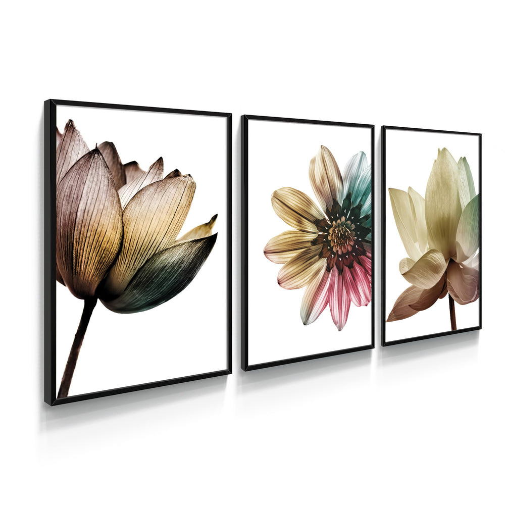 Composição de quadros Trio Flores Color - 60OFF