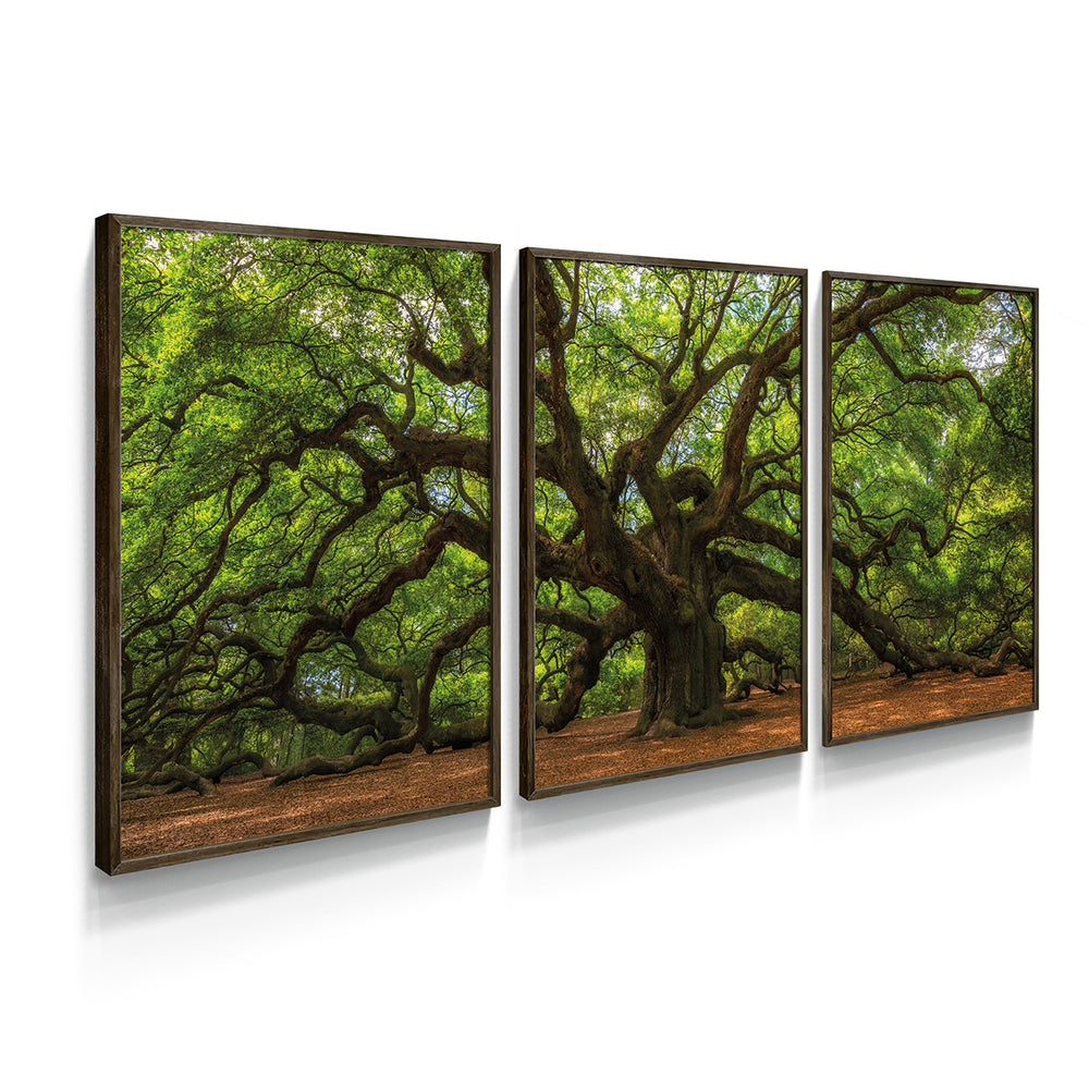 Composição de Quadros Árvore Da Vida Verde - 60OFF