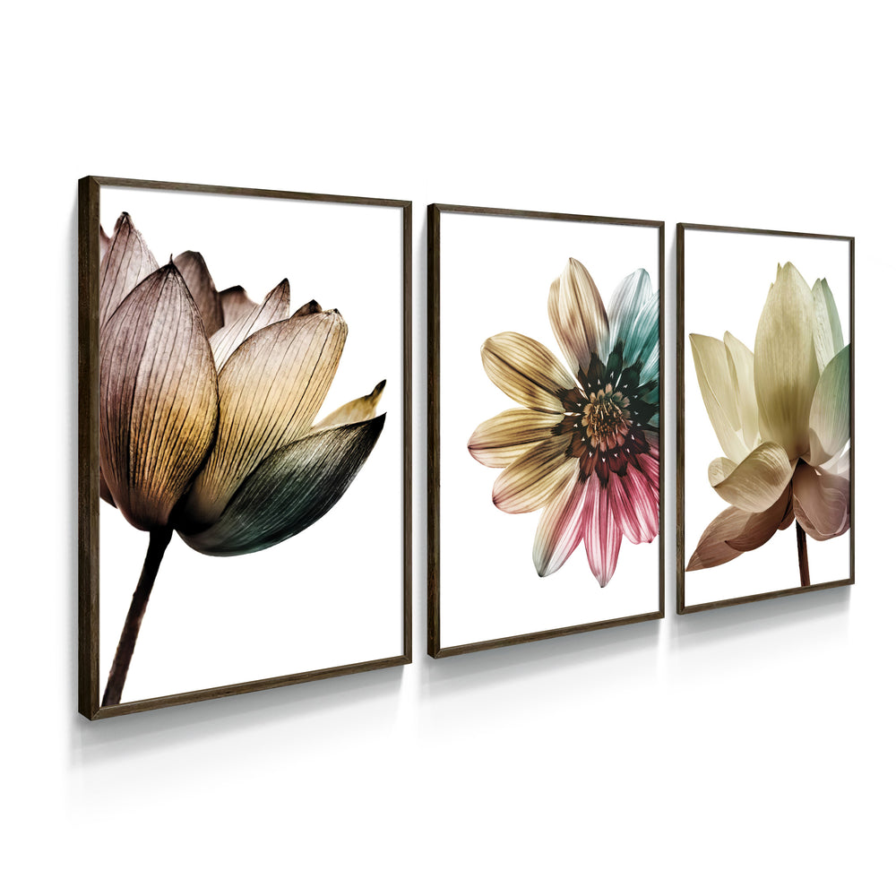 Composição de quadros Trio Flores Color - 60OFF