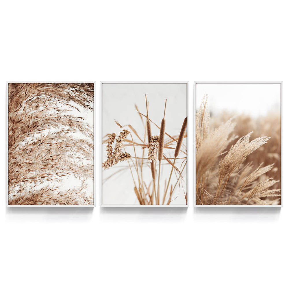 Composição de Quadros Plantação de Trigo - 60OFF