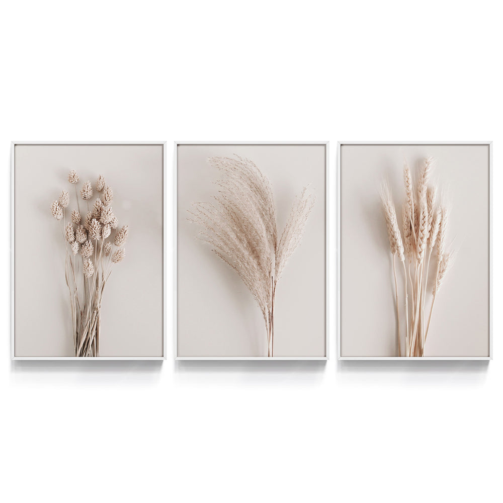 Composição de Quadros Ramos de Trigo - 60OFF