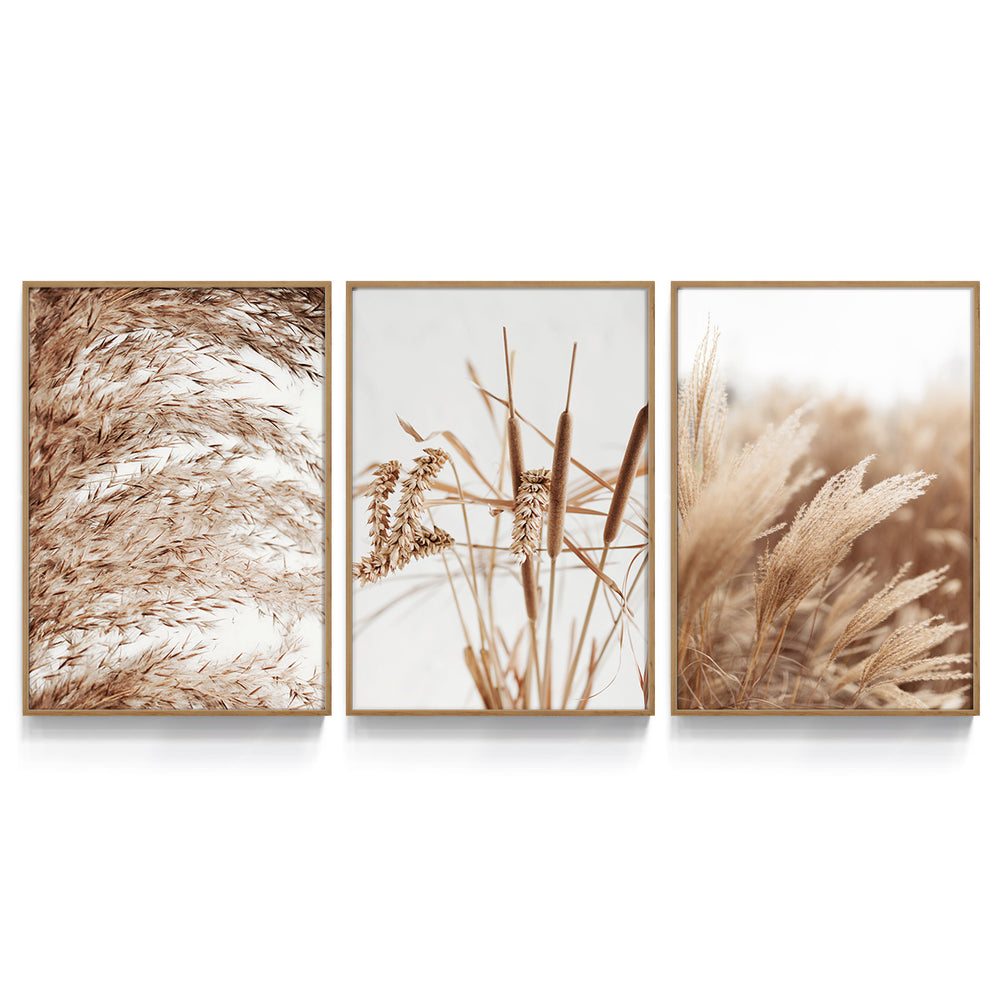 Composição de Quadros Plantação de Trigo - 60OFF
