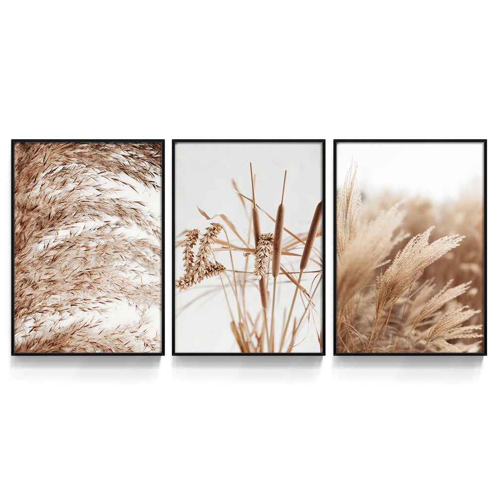 Composição de Quadros Plantação de Trigo - 60OFF