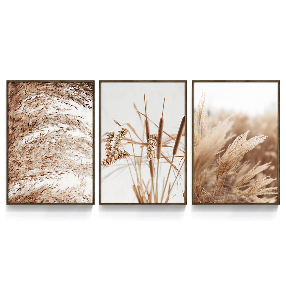 Composição de Quadros Plantação de Trigo - 60OFF