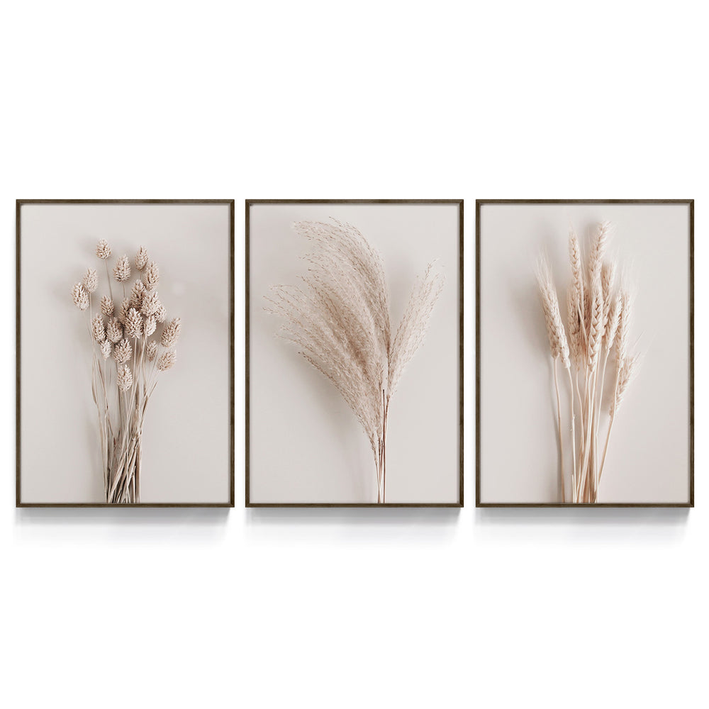 Composição de Quadros Ramos de Trigo - 60OFF