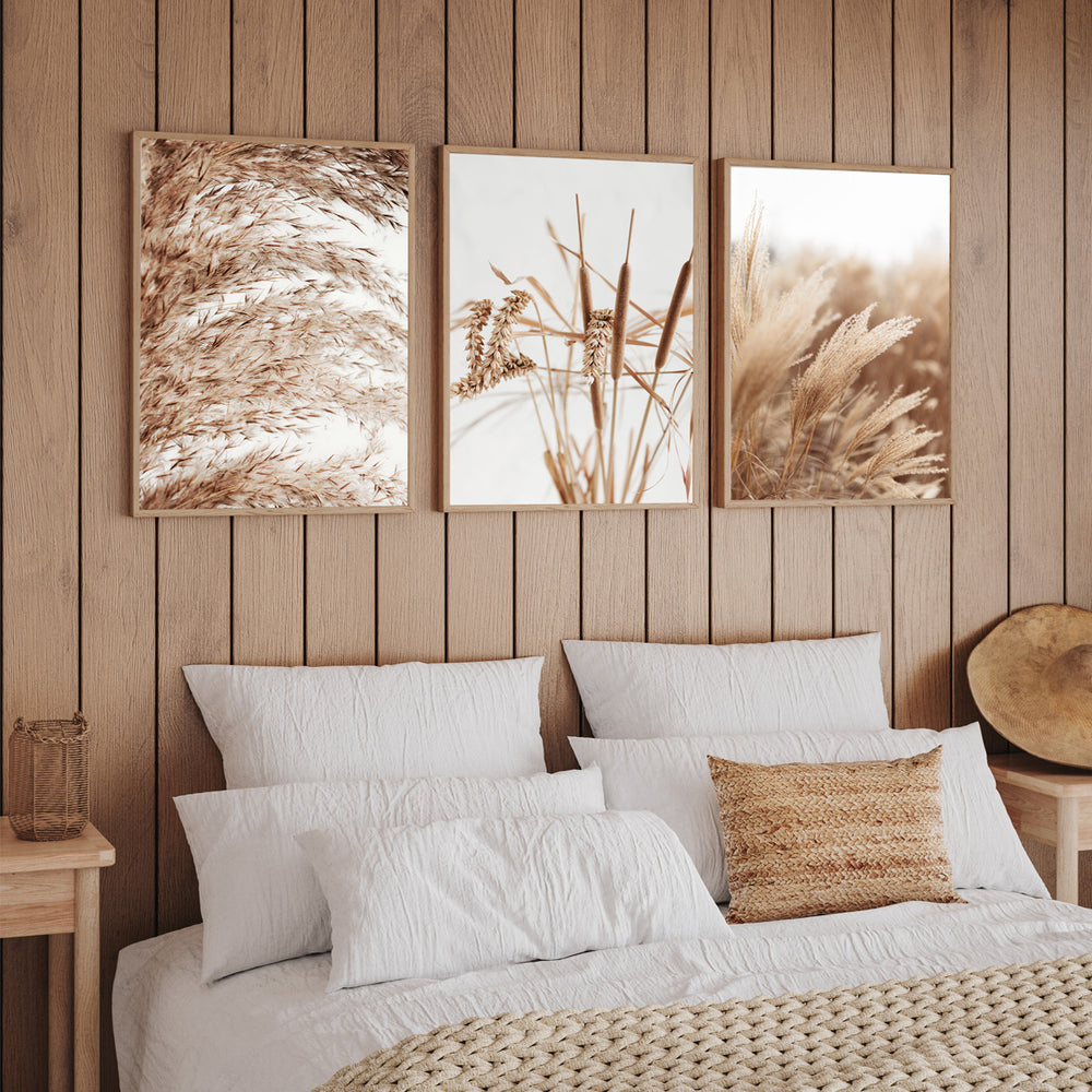 Composição de Quadros Plantação de Trigo - 60OFF