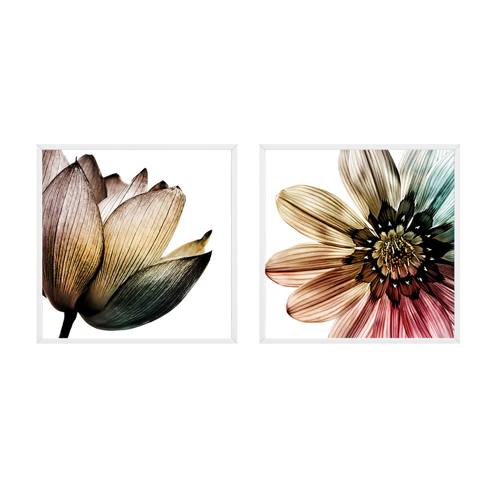 Composição de quadros Dupla Flores Color