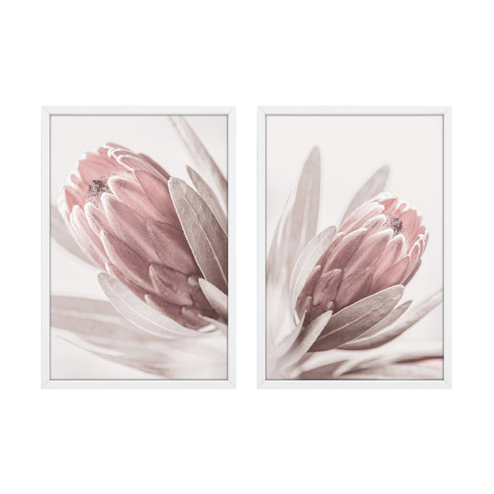 Composição de quadros Flores Rosa Pastel