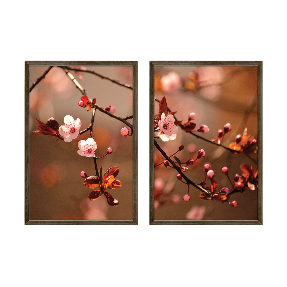 Composição de quadros Cerejeiras Ornamentais