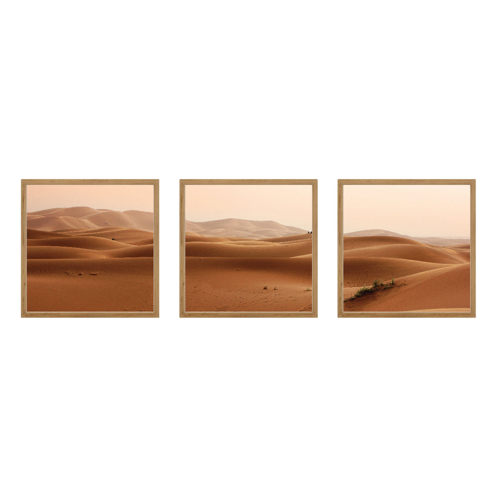 Composição de quadros Deserto em Trio