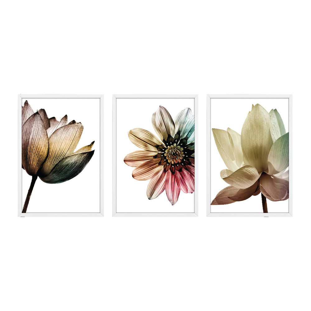 Composição de quadros Trio Flores Color