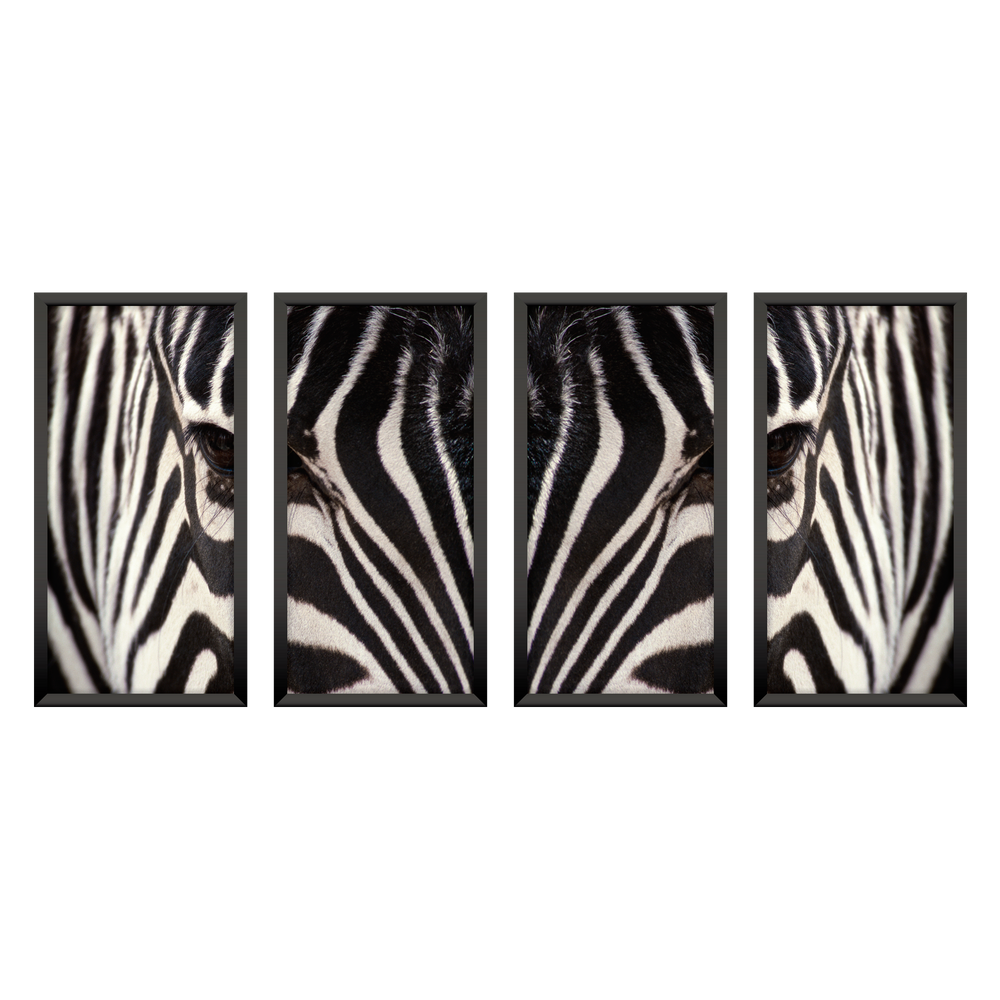 Composição de quadros Listras de Zebra Quádruplo