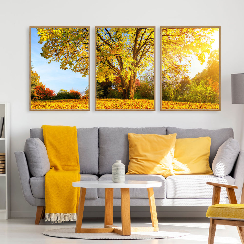 Composição de quadros Árvore Amarela
