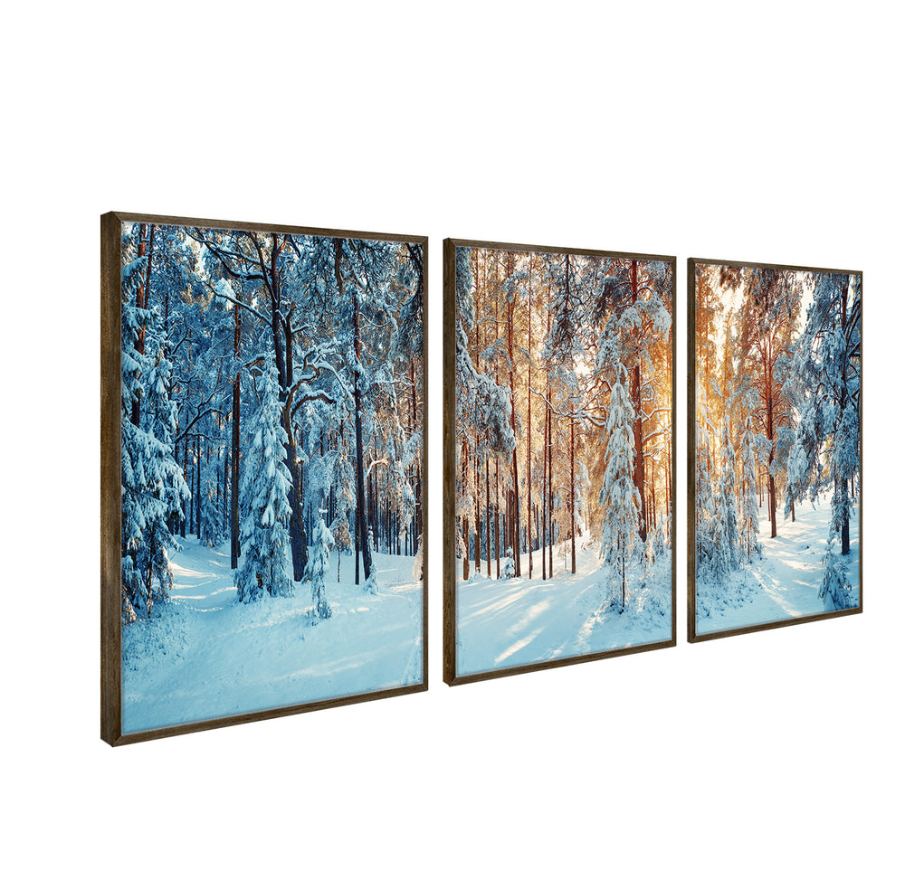 Composição de quadros Neve na Floresta