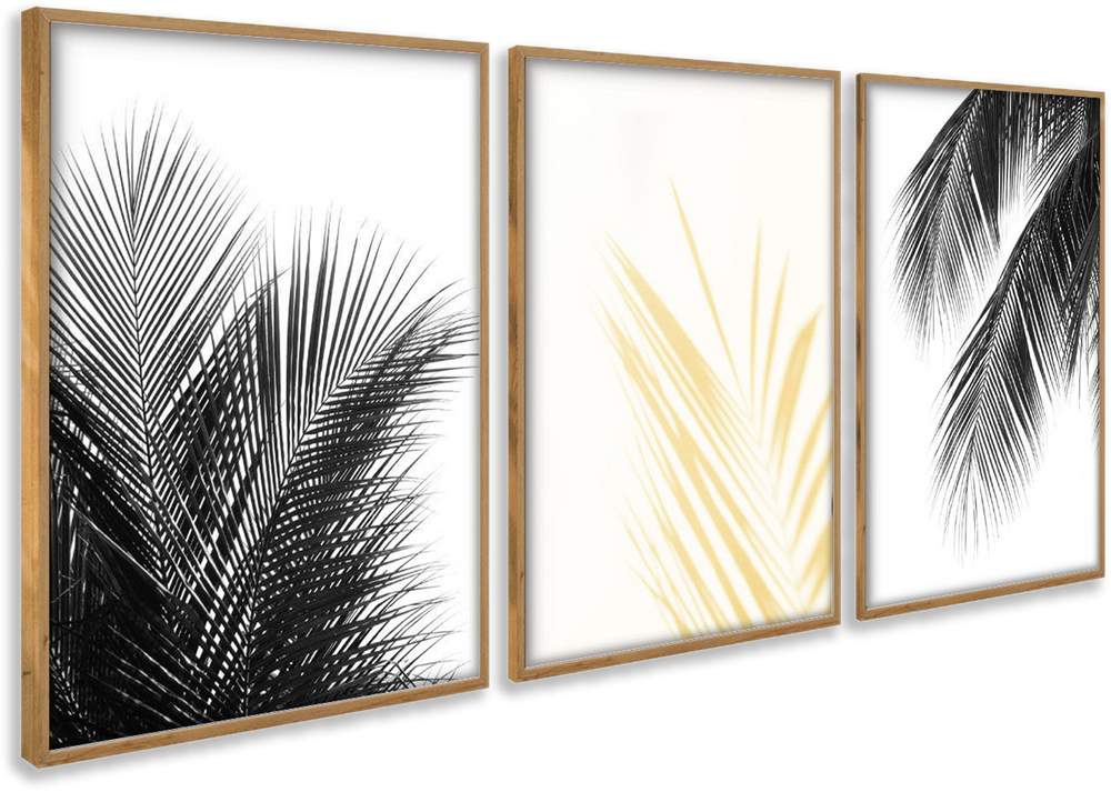 Composição de quadros Palmeira P&B e Dourado
