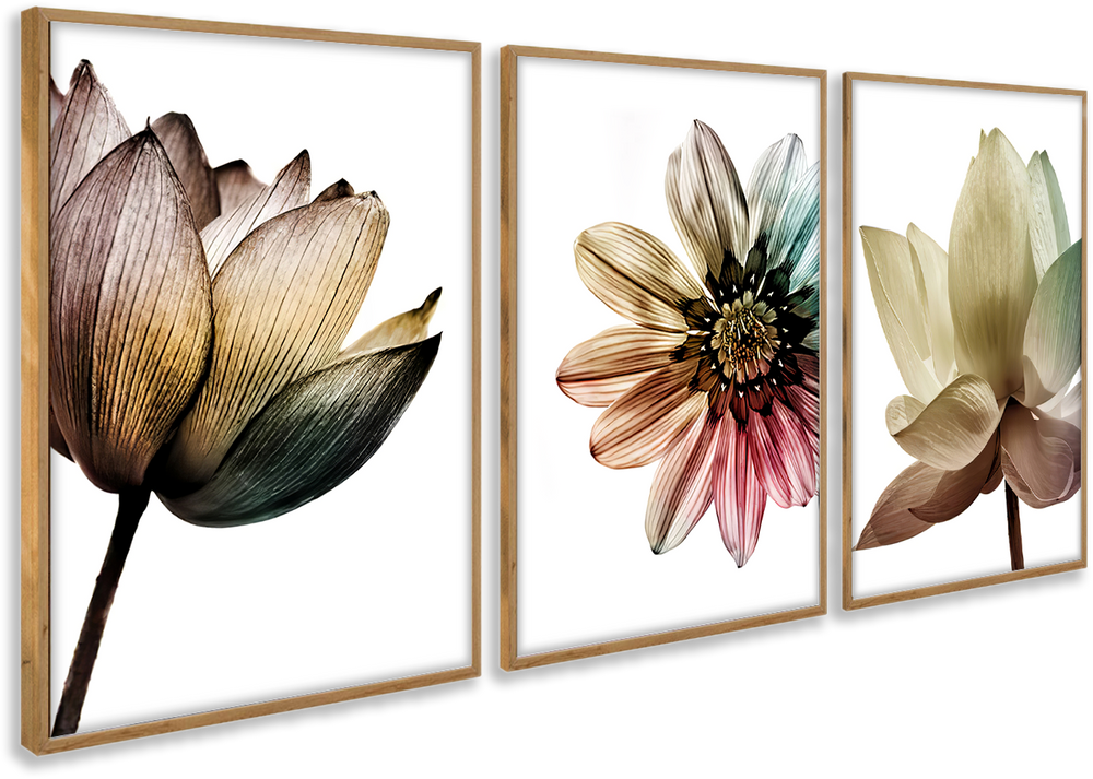 Composição de quadros Trio Flores Color