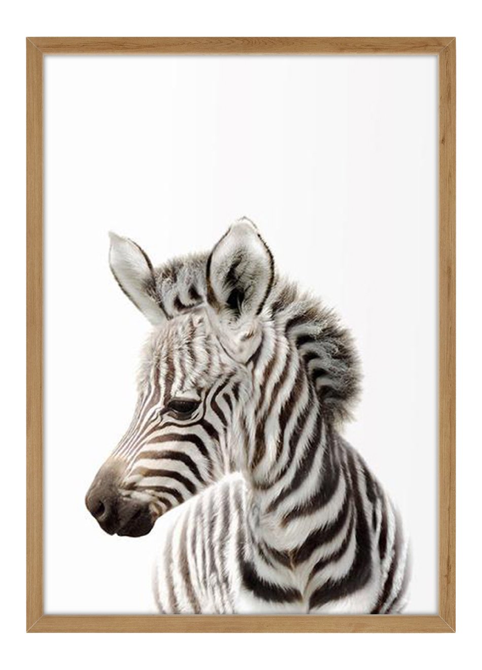Quadro Bebê Zebra