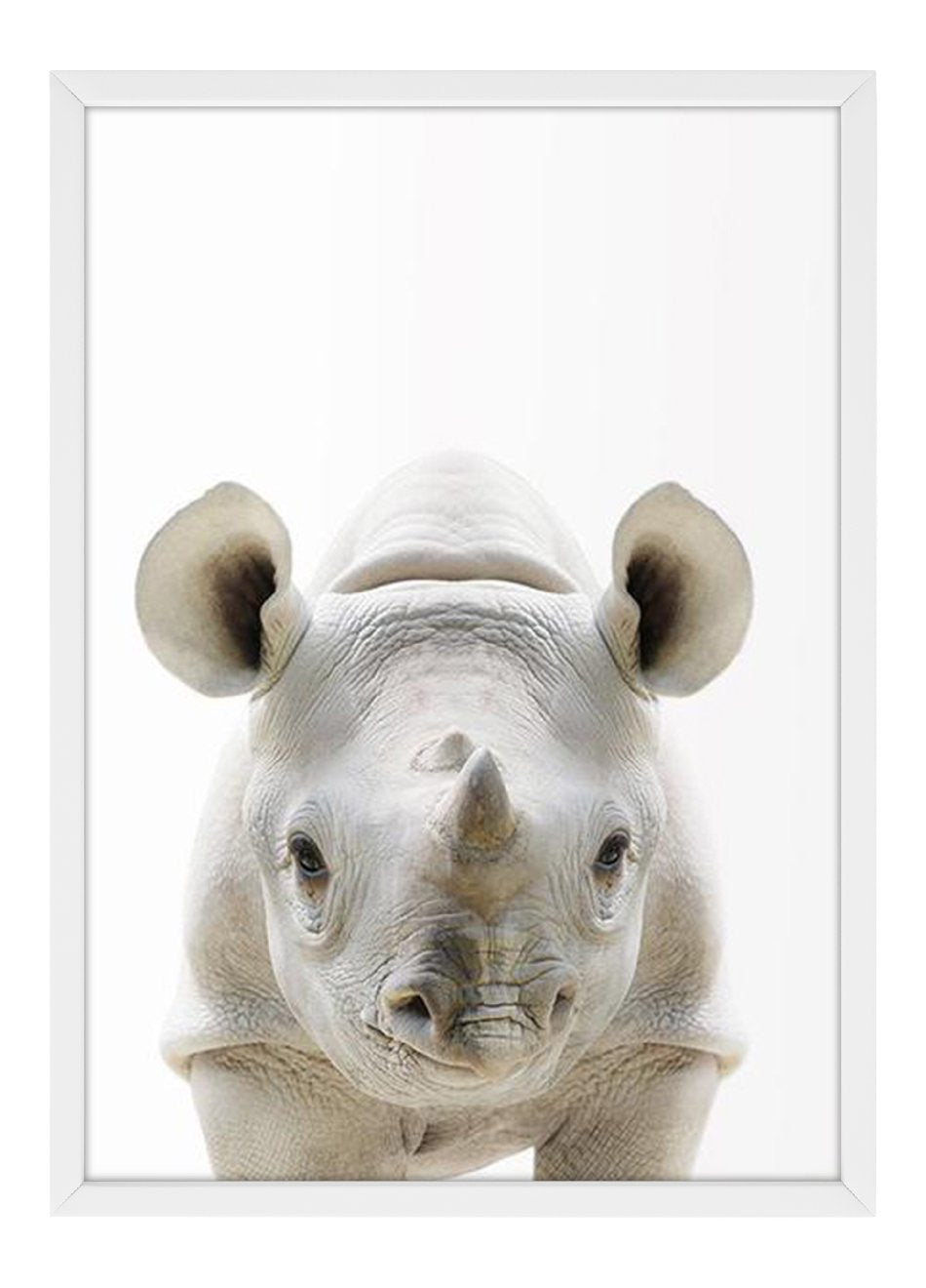 Quadro Bebê Rinoceronte