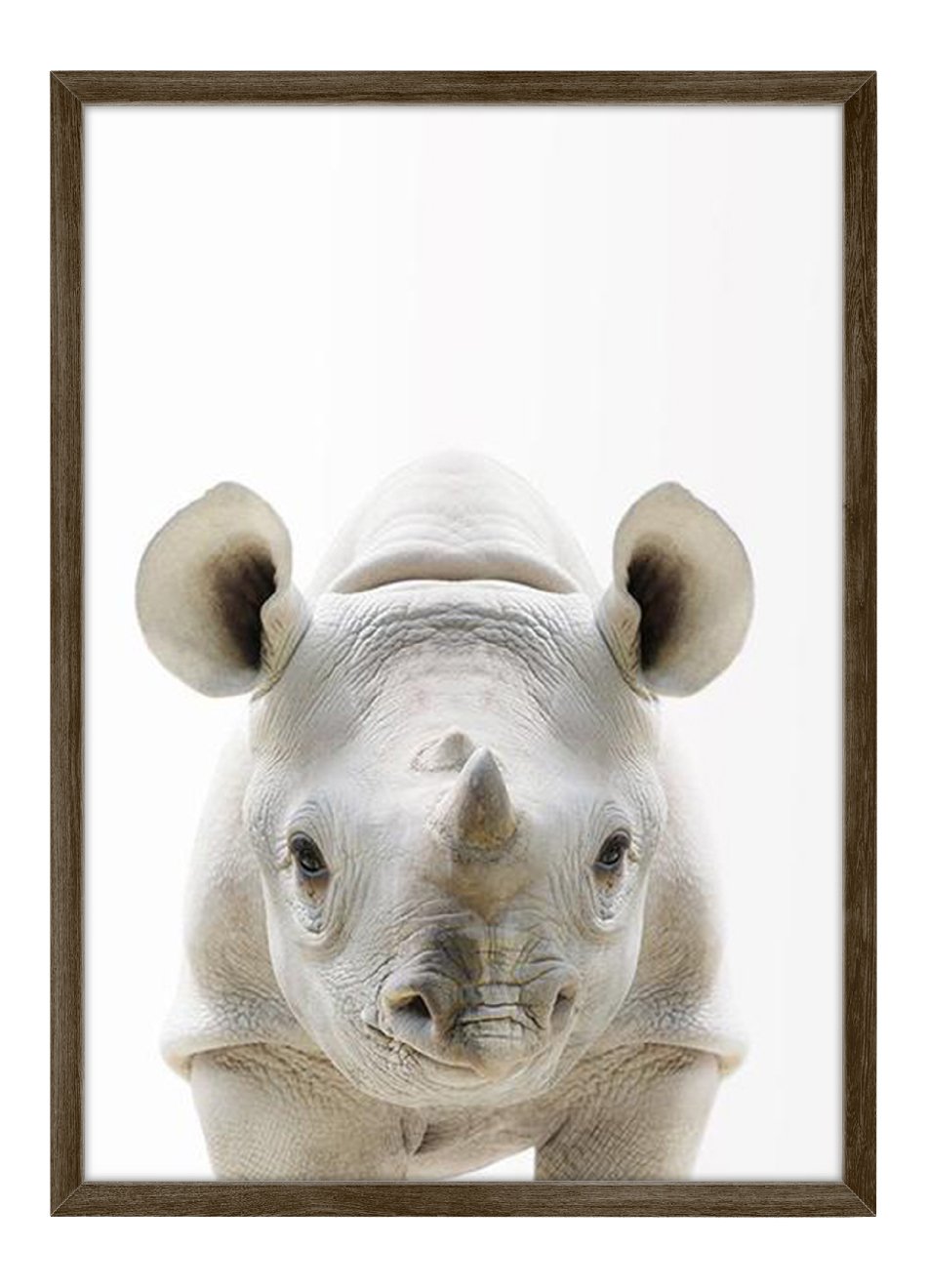 Quadro Bebê Rinoceronte