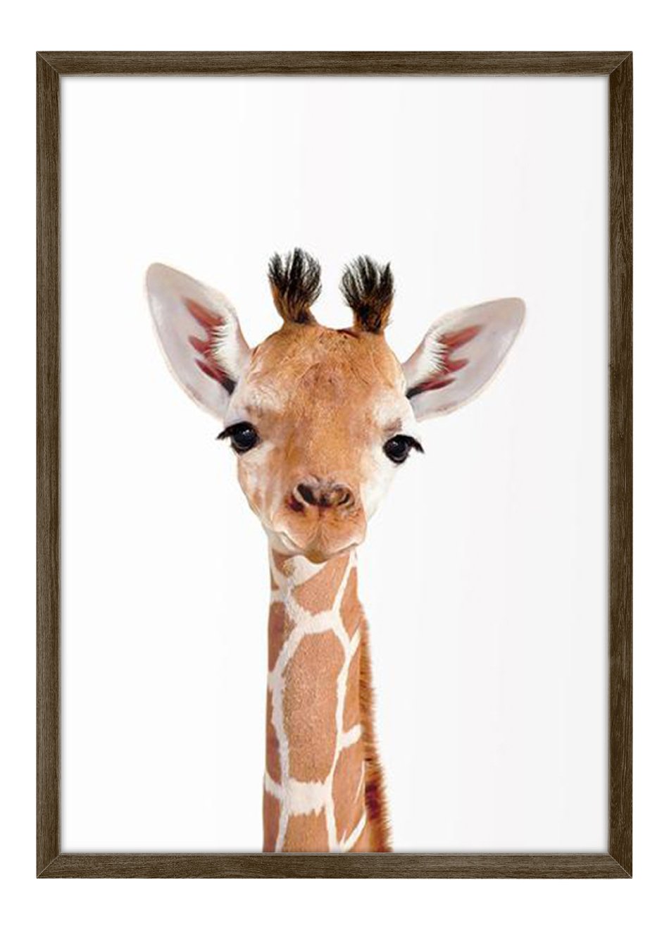 Quadro Bebê Girafa