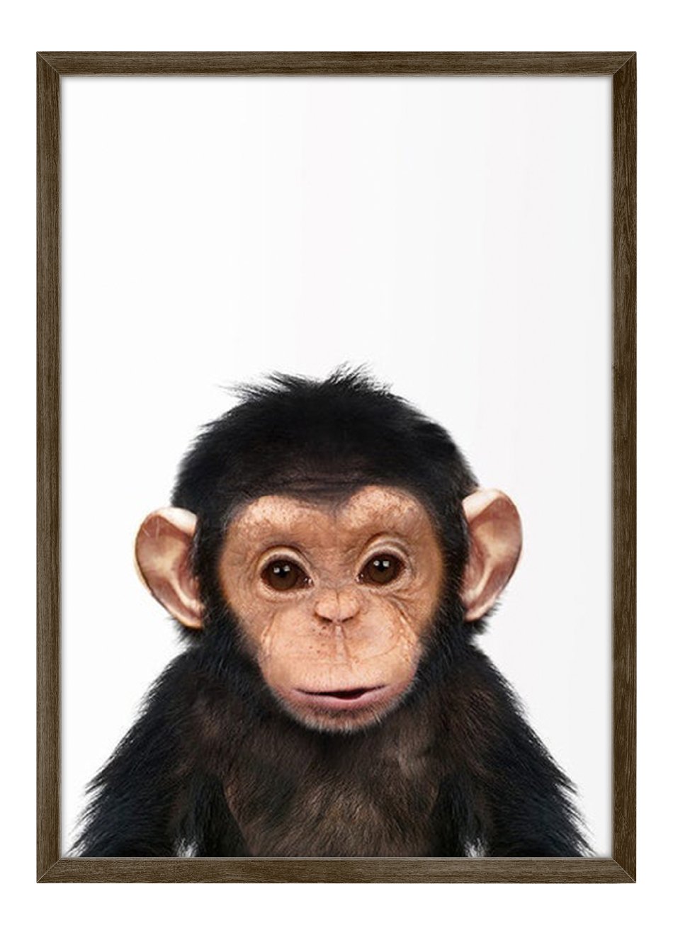 Quadro Bebê Chimpanzé
