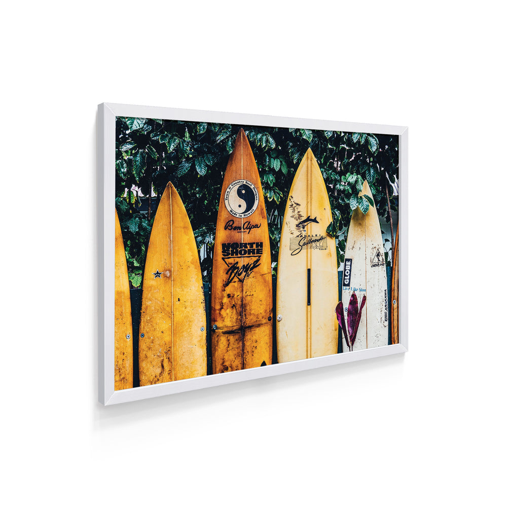 Quadro Horizontal Pranchas de Surfistas