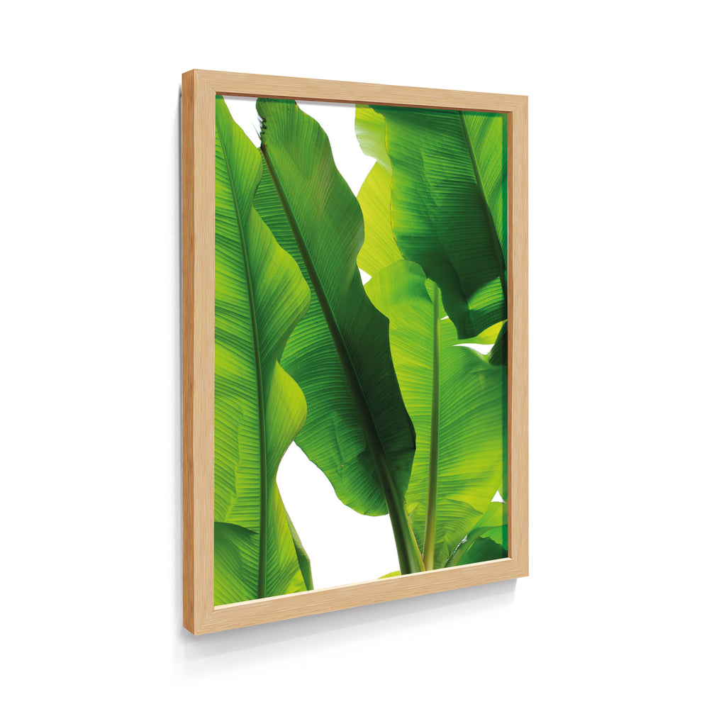 Quadro Botânico Folhas Verdes