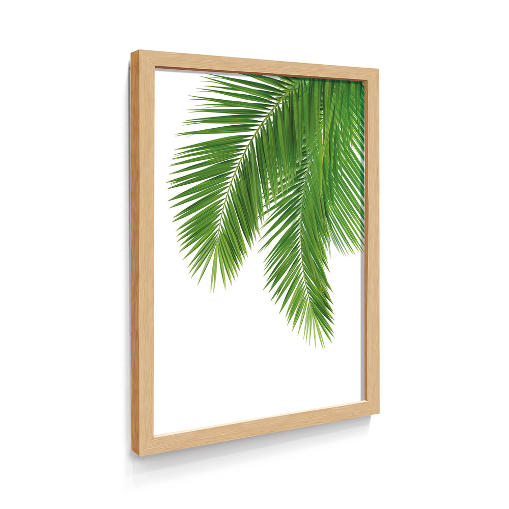 Quadro Folhas de Palmeira
