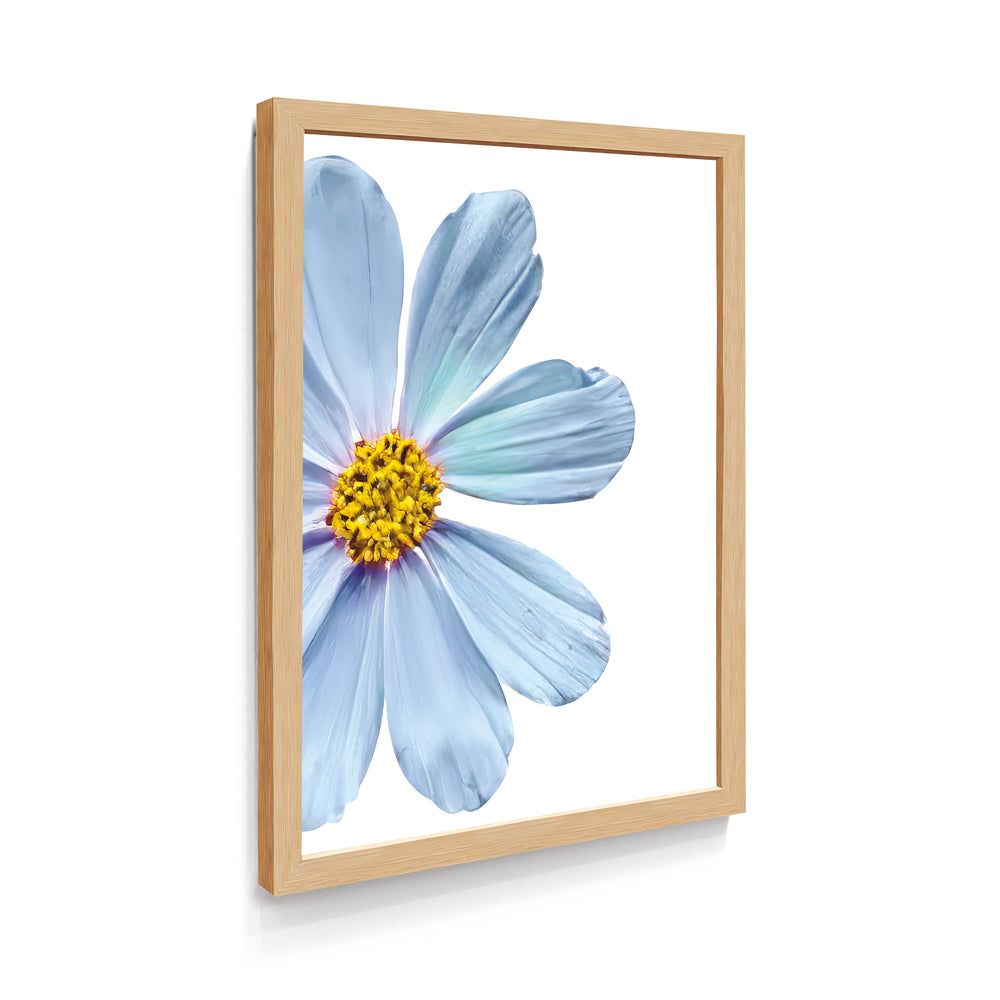 Quadro Margarida Azul