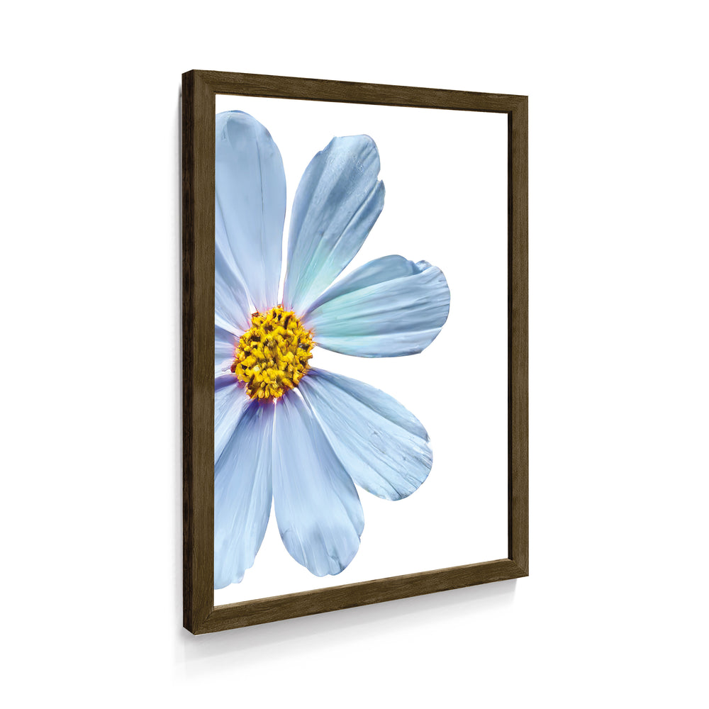 Quadro Margarida Azul