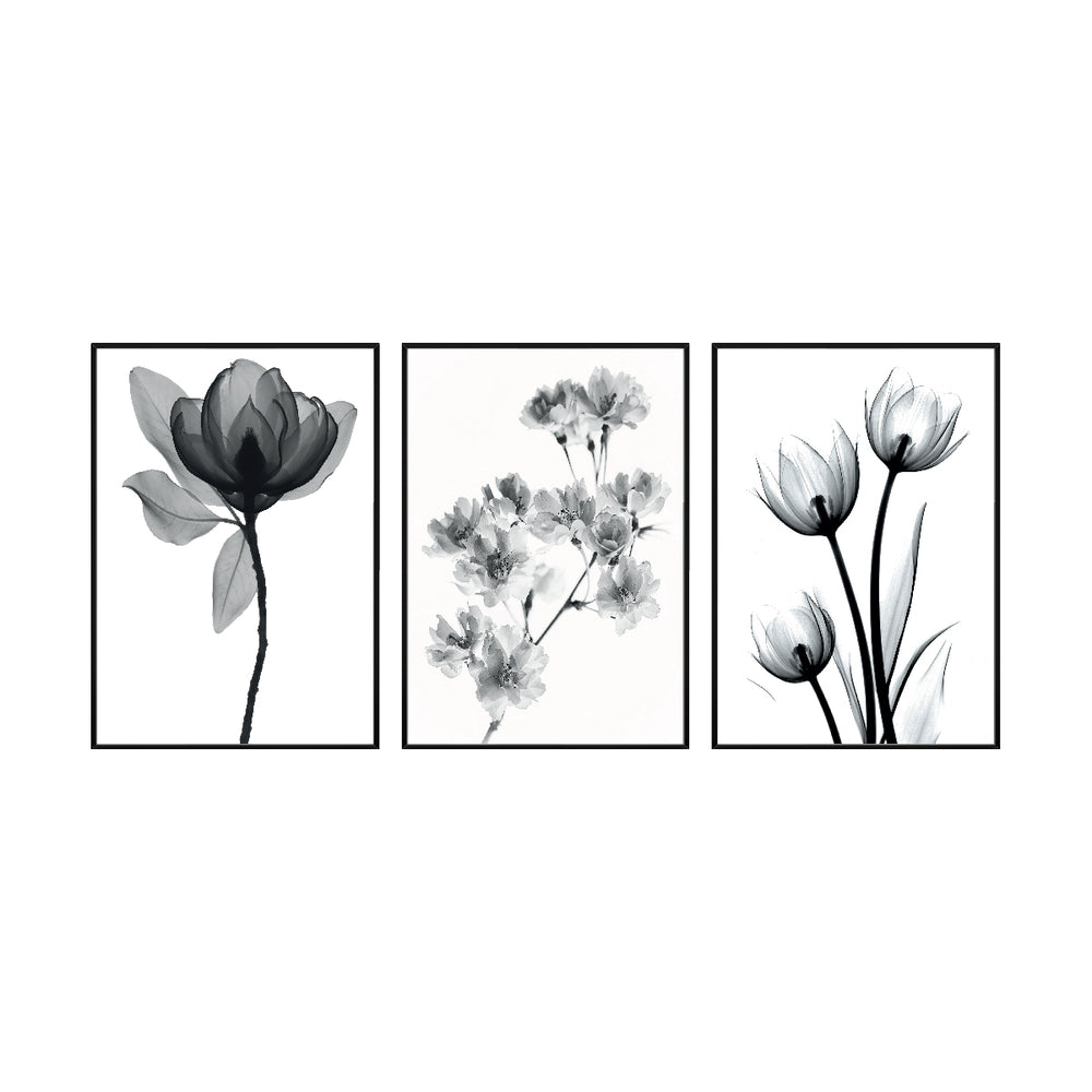 Composição de quadros Flores Preto e Branco