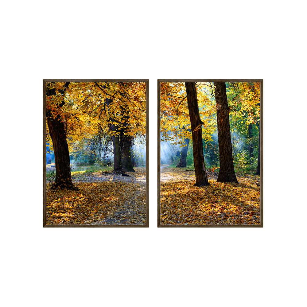 Composição de quadros Outono na Floresta