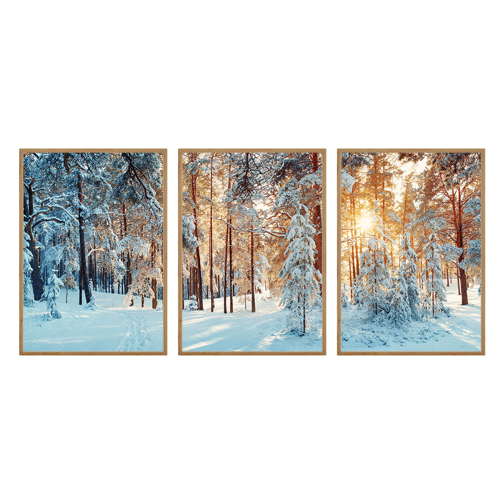 Composição de quadros Neve na Floresta