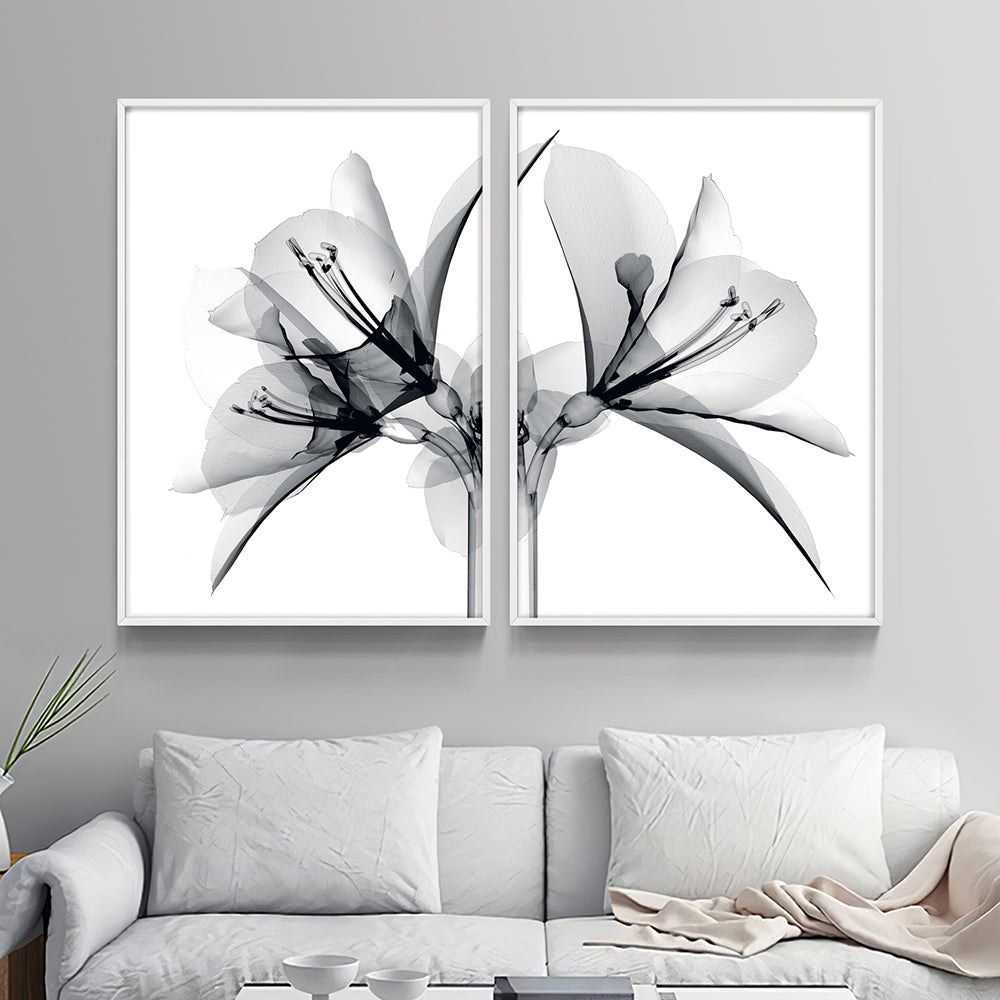 Composição de quadros Duo Raio-X Botânico