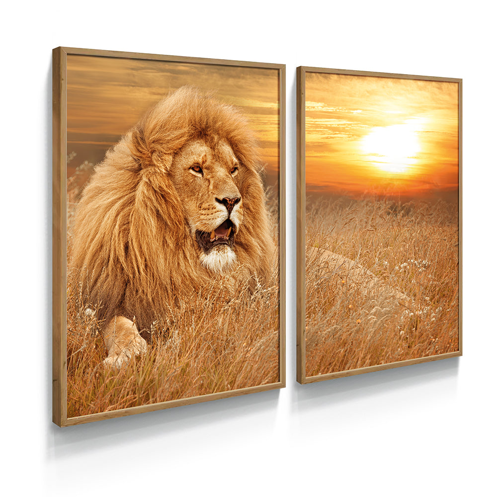Composição de quadros Leão Da Savana