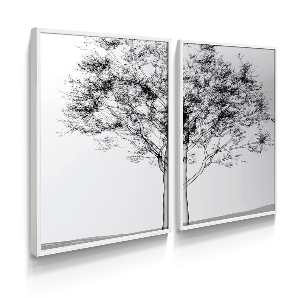 Composição de Quadros Duo Raio-X de Árvore