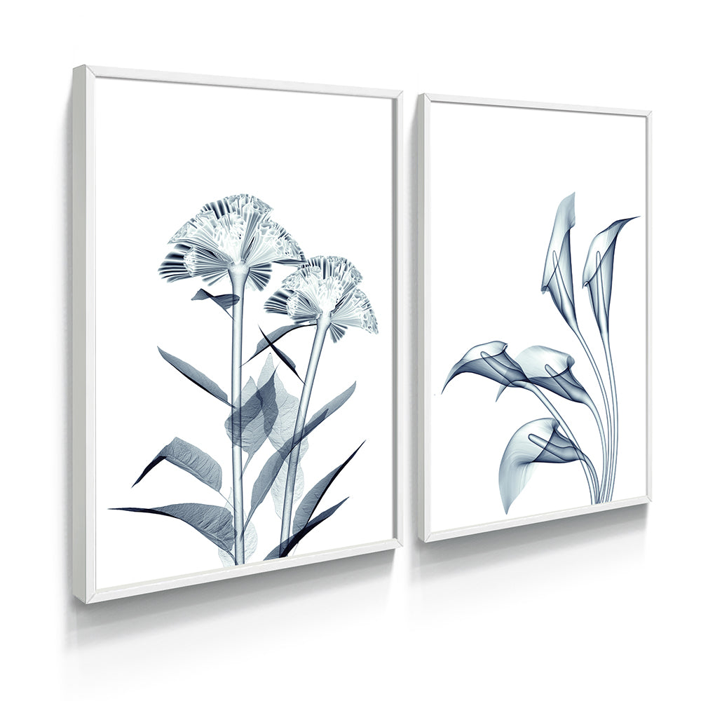 Composição de quadros Duo Raio-X de Flores