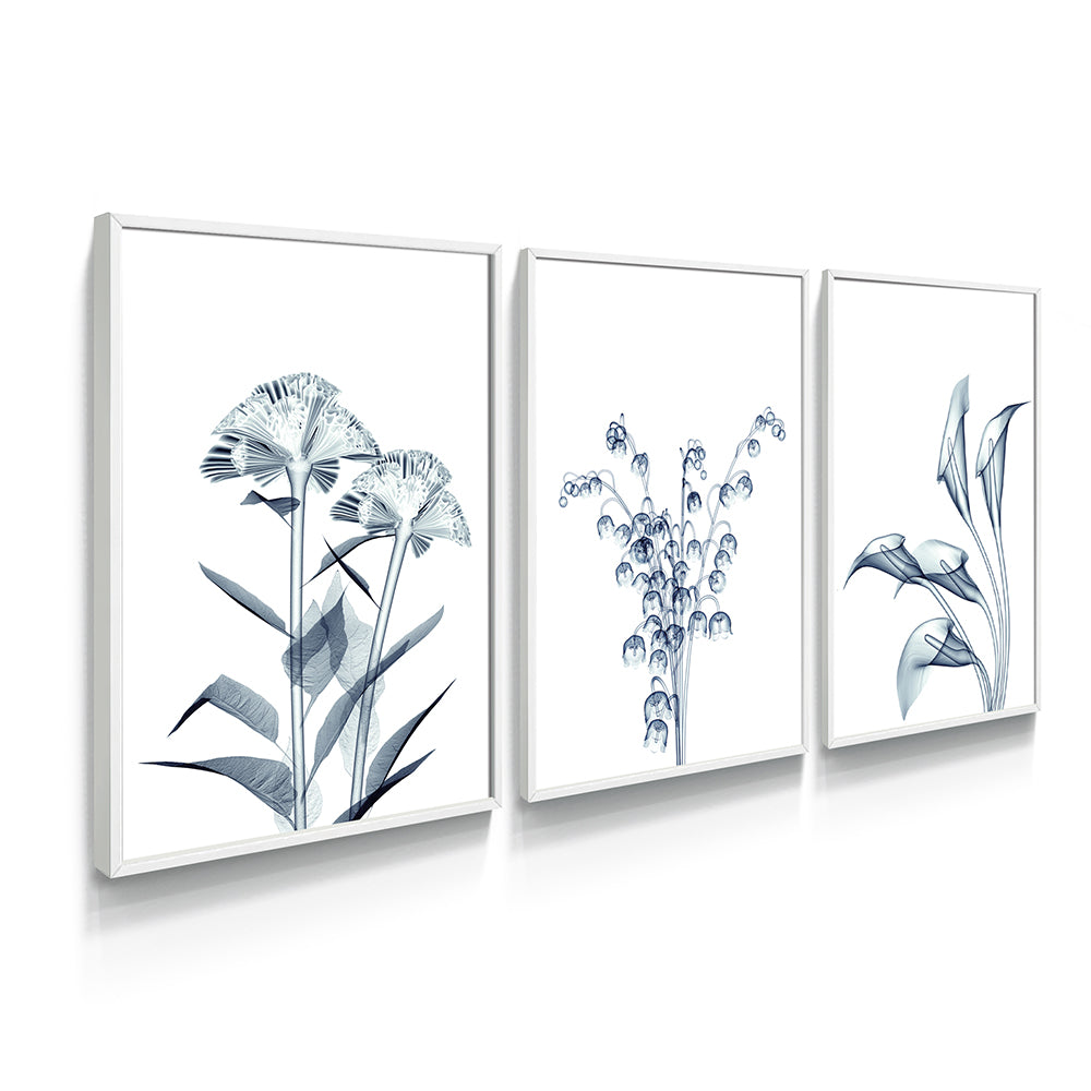Composição de quadros Trio Raio-X de Flores