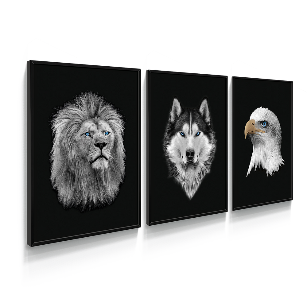 Composição de quadros Preto & Branco, Leão, Lobo e Águia