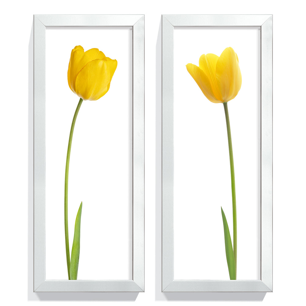 Composição de Quadros Tulipa Amarela