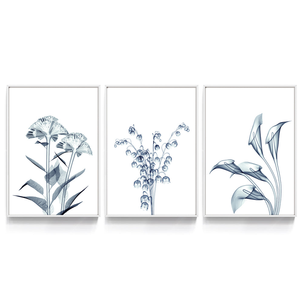 Composição de quadros Trio Raio-X de Flores