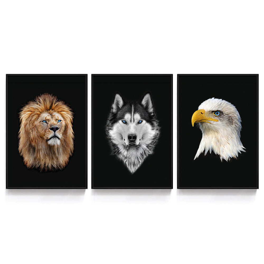 Composição de quadros Leão, Lobo e Águia