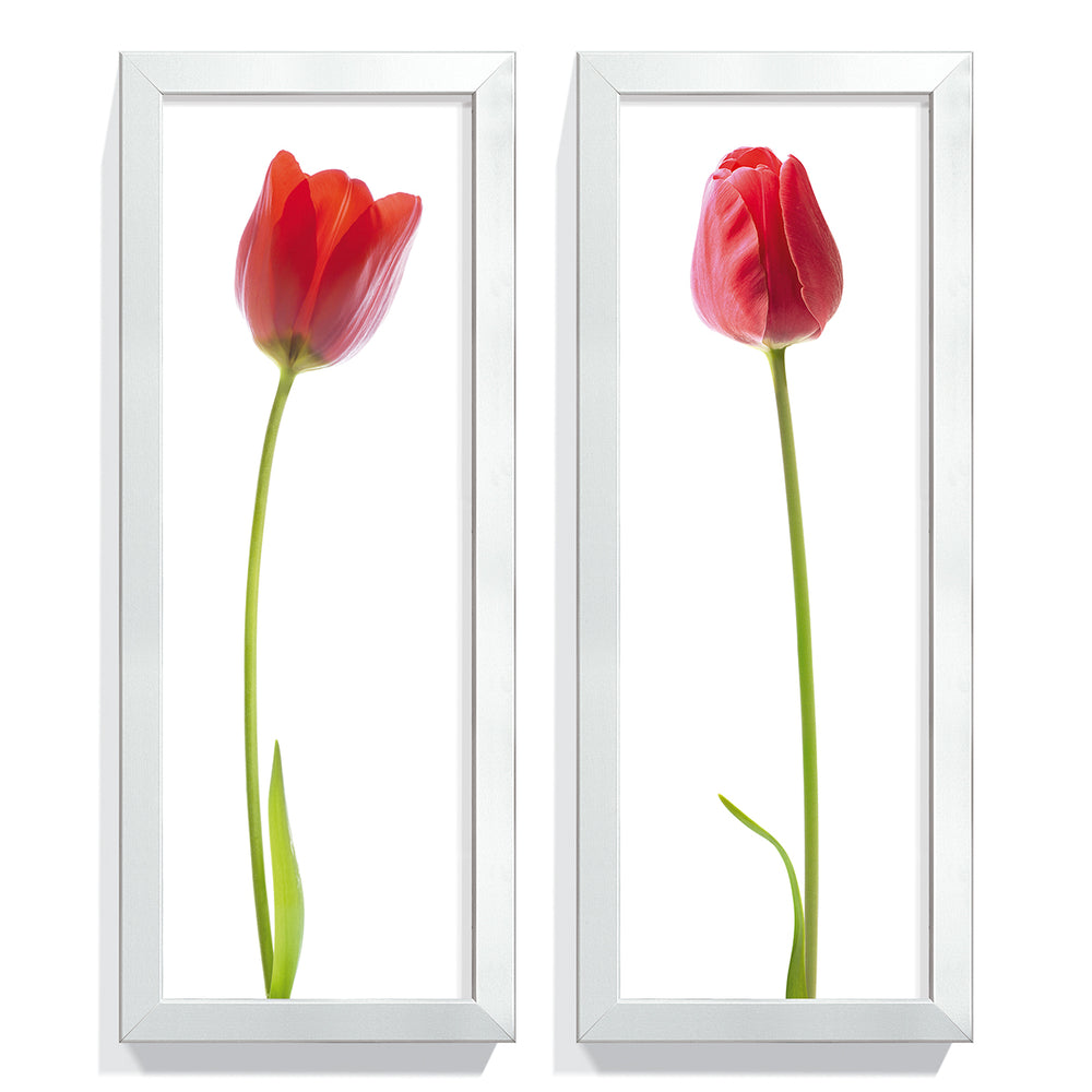 Composição de Quadros Tulipa Vermelha